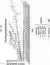 Fig. 54 - COMPOSITIONS USEFUL IN TREATMENT OF KRABBE DISEASE