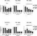 Fig. 75 - COMPOSITIONS USEFUL IN TREATMENT OF KRABBE DISEASE