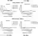 Fig. 78 - COMPOSITIONS USEFUL IN TREATMENT OF KRABBE DISEASE