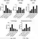 Fig. 81 - COMPOSITIONS USEFUL IN TREATMENT OF KRABBE DISEASE