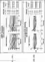 Fig. 84 - COMPOSITIONS USEFUL IN TREATMENT OF KRABBE DISEASE