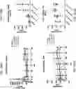 Fig. 90 - COMPOSITIONS USEFUL IN TREATMENT OF KRABBE DISEASE