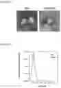 Fig. 02 - PRODUCTION OF EXOSOMES AND USES THEREOF