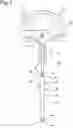 Fig. 02 - BRANCHED CONNECTOR AND CATHETER