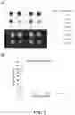 Fig. 06 - COMPOSITIONS AND METHODS FOR ANALYTE DETECTION