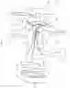 Fig. 02 - Door handle having vein authentication function