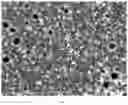 Fig. 04 - METHOD OF MANUFACTURING A POROUS PRESSURE SENSOR AND DEVICE THEREFOR