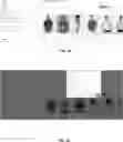Fig. 08 - Templates For Curated Collections