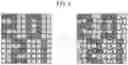 Fig. 04 - Stretchable substrate having improved stretch uniformity and method of manufacturing the same