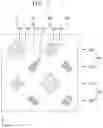 Fig. 04 - DISPLAY APPARATUS