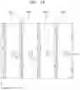 Fig. 20 - DISPLAY APPARATUS