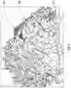 Fig. 09 - Resilient Plant Development Media