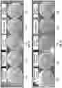 Fig. 22 - Resilient Plant Development Media