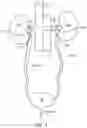 Fig. 02 - RENAL NERVE DENERVATION VIA THE RENAL PELVIS