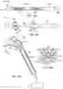 Fig. 14 - RENAL NERVE DENERVATION VIA THE RENAL PELVIS