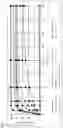Fig. 02 - Solid Self-Nanoemulsifying Drug Delivery System (S-SNEDDS)
