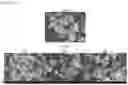 Fig. 41 - Dry powder formulations for inhalation