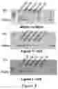 Fig. 04 - POLYPEPTIDES DIRECTED AGAINST VIRAL INFECTION AND USES THEREOF