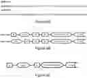 Fig. 07 - POLYPEPTIDES DIRECTED AGAINST VIRAL INFECTION AND USES THEREOF