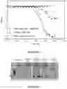 Fig. 09 - POLYPEPTIDES DIRECTED AGAINST VIRAL INFECTION AND USES THEREOF