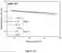 Fig. 11 - POLYPEPTIDES DIRECTED AGAINST VIRAL INFECTION AND USES THEREOF