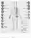 Fig. 09 - Topical application of CRISPR-modified bacteria to treat acne vulgaris
