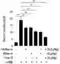 Fig. 01 - COMPOSITION COMPRISING FIBRE AND MULBERRY