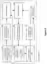 Fig. 06 - Pulse generator system for promoting desynchronized firing of recruited neural populations