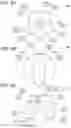 Fig. 07 - FUSIBLE TOY BEAD