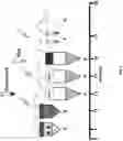 Fig. 03 - PRODUCTS AND METHODS TO ISOLATE MITOCHONDRIA