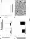 Fig. 04 - PRODUCTS AND METHODS TO ISOLATE MITOCHONDRIA