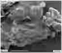 Fig. 01 - PROCESS FOR PREPARING METHYL {4,6-DIAMINO-2-[5-FLUORO-1-(2-FLUOROBENZYL)-1H-PYRAZOLO[3,4-B]PYRIDIN-3 -YL]PYRIMIDIN-5-YL} CARBAMATE