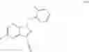 Fig. 102 - PROCESS FOR PREPARING METHYL {4,6-DIAMINO-2-[5-FLUORO-1-(2-FLUOROBENZYL)-1H-PYRAZOLO[3,4-B]PYRIDIN-3 -YL]PYRIMIDIN-5-YL} CARBAMATE