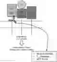 Fig. 01 - CD25 antibodies