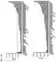 Fig. 16 - CD25 antibodies