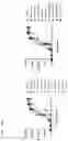 Fig. 23 - CD25 antibodies