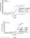 Fig. 109 - TUMOR ACTIVATED T CELL ENGAGERS AND METHODS OF USE THEREOF