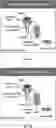 Fig. 113 - TUMOR ACTIVATED T CELL ENGAGERS AND METHODS OF USE THEREOF