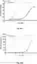 Fig. 136 - TUMOR ACTIVATED T CELL ENGAGERS AND METHODS OF USE THEREOF
