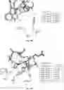 Fig. 69 - TUMOR ACTIVATED T CELL ENGAGERS AND METHODS OF USE THEREOF
