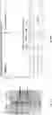 Fig. 77 - TUMOR ACTIVATED T CELL ENGAGERS AND METHODS OF USE THEREOF