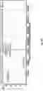 Fig. 81 - TUMOR ACTIVATED T CELL ENGAGERS AND METHODS OF USE THEREOF