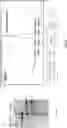 Fig. 82 - TUMOR ACTIVATED T CELL ENGAGERS AND METHODS OF USE THEREOF
