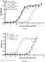 Fig. 95 - COMPOSITIONS AND METHODS RELATING TO TUMOR ACTIVATED T CELL ENGAGERS