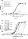 Fig. 96 - COMPOSITIONS AND METHODS RELATING TO TUMOR ACTIVATED T CELL ENGAGERS