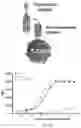 Fig. 98 - COMPOSITIONS AND METHODS RELATING TO TUMOR ACTIVATED T CELL ENGAGERS