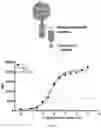 Fig. 99 - COMPOSITIONS AND METHODS RELATING TO TUMOR ACTIVATED T CELL ENGAGERS