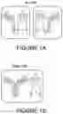 Fig. 02 - PURIFICATION OF MULTISPECIFIC ANTIBODIES