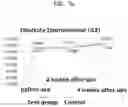 Fig. 13 - METHOD FOR PRODUCTION OF FUNCTIONAL POLYSACCHARIDE AND COSMETIC COMPOSITION