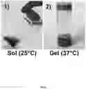 Fig. 09 - Carbon nanotube-functionalized reverse thermal gel and methods of forming and using same